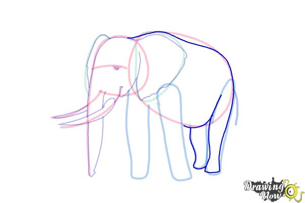 How to Draw Elephants - Step 12