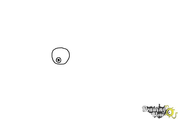 How to Draw Hal from The Angry Birds Movie - Step 1 How to Draw Hal from The Angry Birds Movie - Step 1