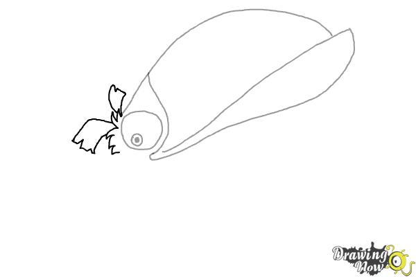 How to Draw Hal from The Angry Birds Movie - Step 4 How to Draw Hal from The Angry Birds Movie - Step 4