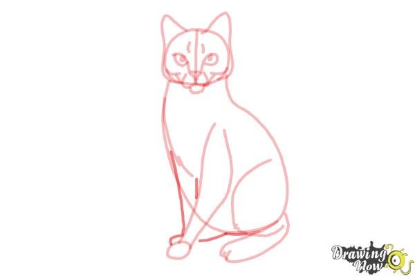 How to Draw Hawkfrost from Warrior Cats - Step 10 How to Draw Hawkfrost from Warrior Cats - Step 10