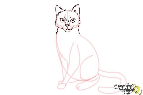 How to Draw Hawkfrost from Warrior Cats - Step 12 How to Draw Hawkfrost from Warrior Cats - Step 12