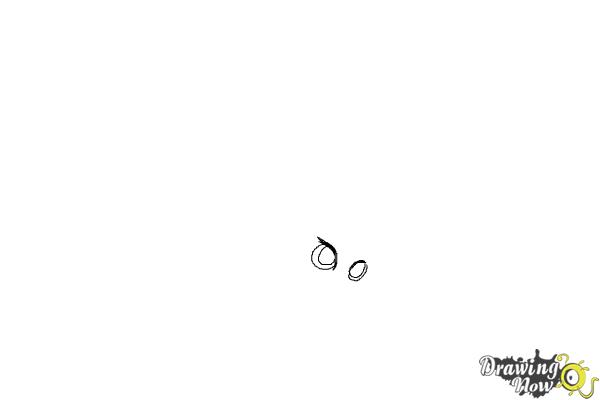 How to Draw Hedwig from Harry Potter - Step 1 How to Draw Hedwig from Harry Potter - Step 1