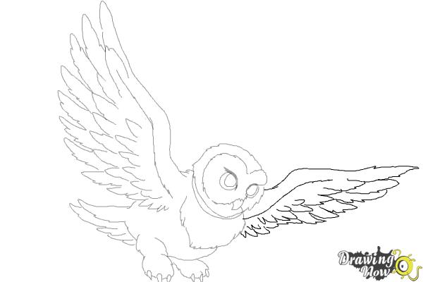 How to Draw Hedwig from Harry Potter - Step 10 How to Draw Hedwig from Harry Potter - Step 10