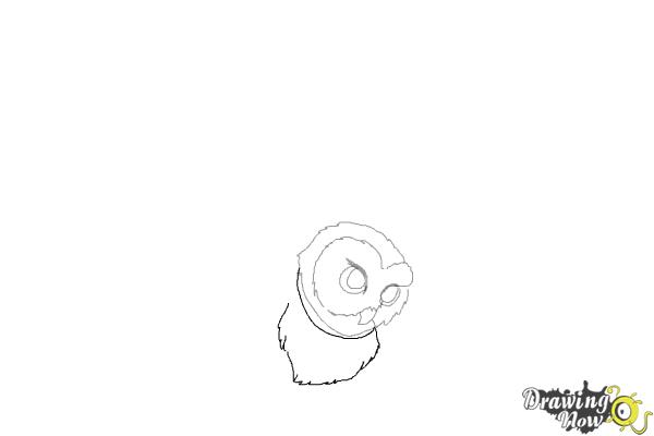 How to Draw Hedwig from Harry Potter - Step 4 How to Draw Hedwig from Harry Potter - Step 4