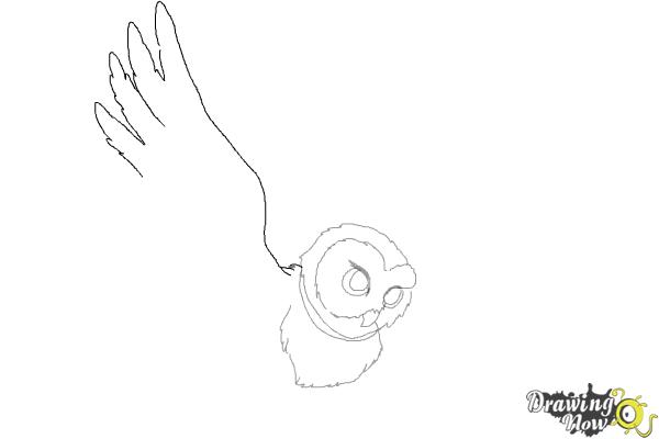 How to Draw Hedwig from Harry Potter - Step 5 How to Draw Hedwig from Harry Potter - Step 5