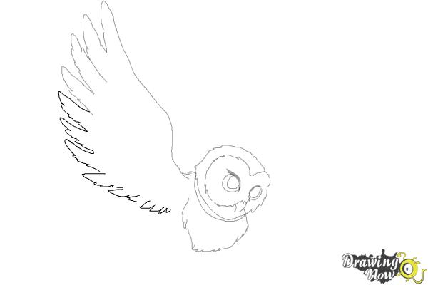 How to Draw Hedwig from Harry Potter - Step 6 How to Draw Hedwig from Harry Potter - Step 6