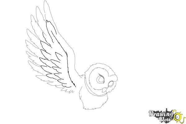 How to Draw Hedwig from Harry Potter - Step 7 How to Draw Hedwig from Harry Potter - Step 7