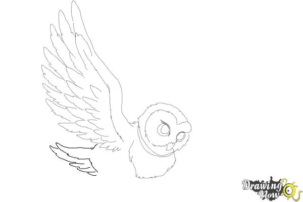 How to Draw Hedwig from Harry Potter - Step 8 How to Draw Hedwig from Harry Potter - Step 8