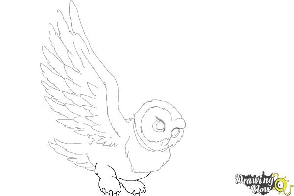 How to Draw Hedwig from Harry Potter - Step 9 How to Draw Hedwig from Harry Potter - Step 9