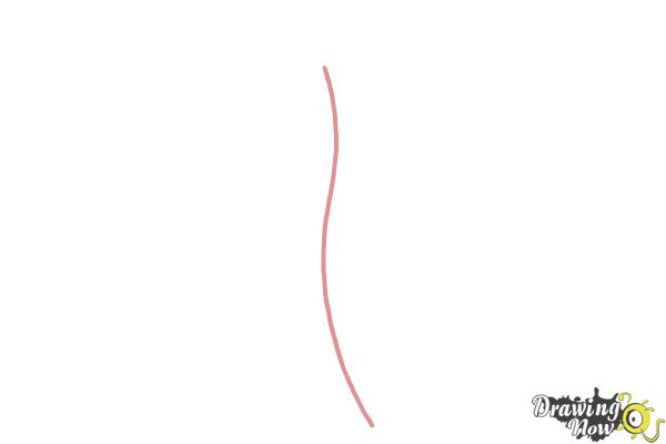 How to Draw Miles Prower, Tails from Sonic - Step 1 How to Draw Miles Prower, Tails from Sonic - Step 1