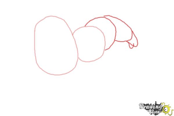 How to draw Patrick, Mr. Superawesomeness from SpongeBob: Sponge Out of Water - Step 2 How to draw Patrick, Mr. Superawesomeness from SpongeBob: Sponge Out of Water - Step 2