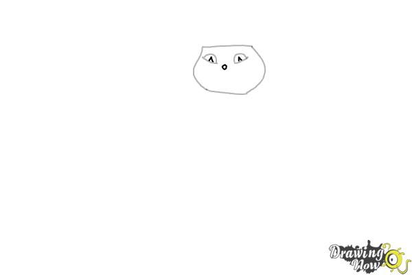 How to Draw Puss in Boots 2 - Step 3 How to Draw Puss in Boots 2 - Step 3