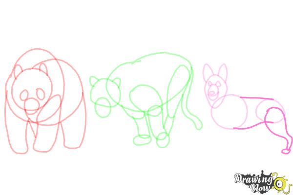 How to Draw Realistic Animals - Step 12 How to Draw Realistic Animals - Step 12