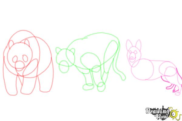 How to Draw Realistic Animals - Step 13 How to Draw Realistic Animals - Step 13