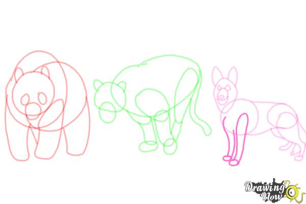 How to Draw Realistic Animals - Step 14 How to Draw Realistic Animals - Step 14