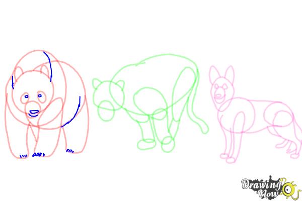 How to Draw Realistic Animals - Step 15 How to Draw Realistic Animals - Step 15