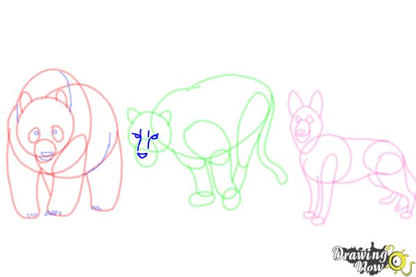 How to Draw Realistic Animals - Step 16 How to Draw Realistic Animals - Step 16