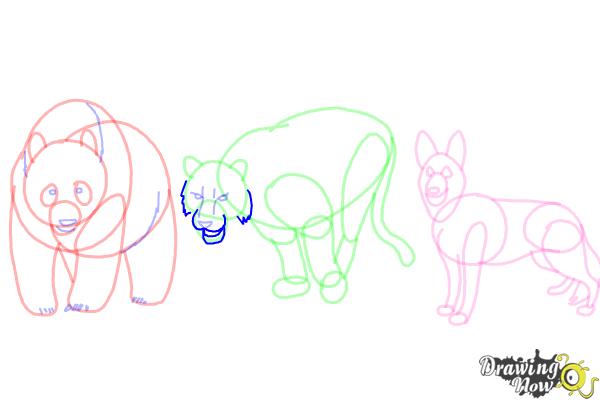 How to Draw Realistic Animals - Step 17 How to Draw Realistic Animals - Step 17