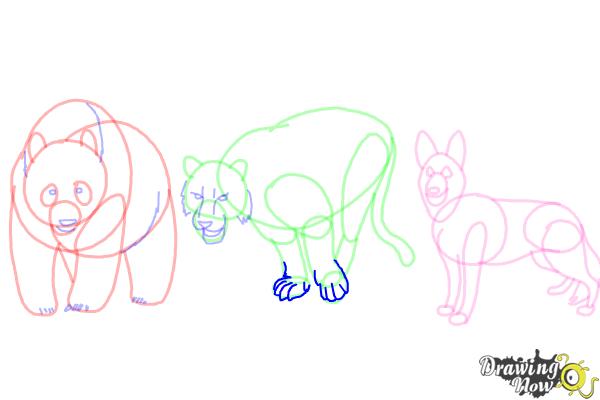 How to Draw Realistic Animals - Step 18 How to Draw Realistic Animals - Step 18