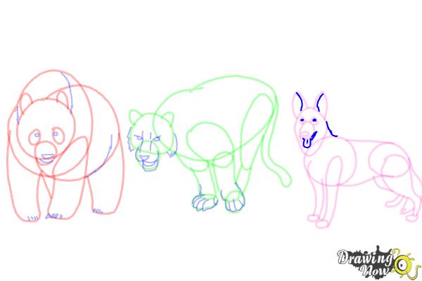 How to Draw Realistic Animals - Step 19 How to Draw Realistic Animals - Step 19