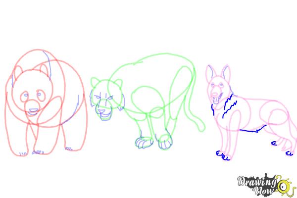 How to Draw Realistic Animals - Step 20 How to Draw Realistic Animals - Step 20