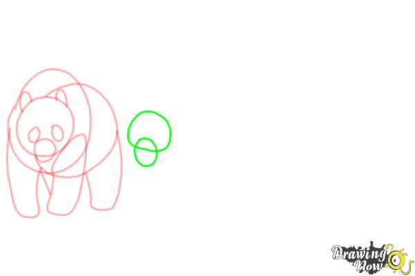How to Draw Realistic Animals - Step 5 How to Draw Realistic Animals - Step 5