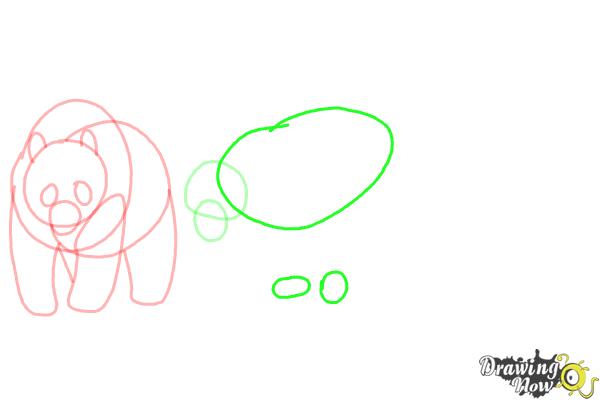 How to Draw Realistic Animals - Step 6 How to Draw Realistic Animals - Step 6