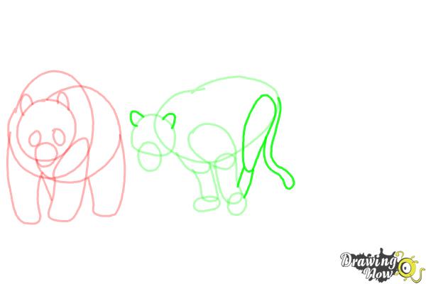 How to Draw Realistic Animals - Step 8 How to Draw Realistic Animals - Step 8
