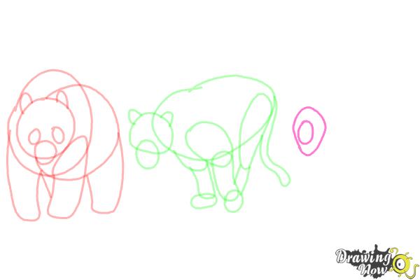 How to Draw Realistic Animals - Step 9 How to Draw Realistic Animals - Step 9