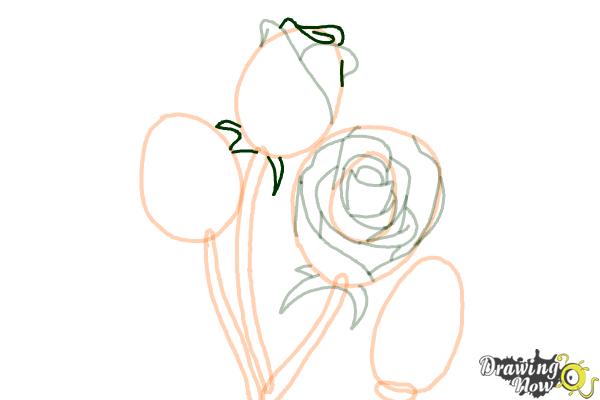 How to Draw Roses Step by Step - Step 10 How to Draw Roses Step by Step - Step 10
