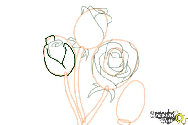 How to Draw Roses Step by Step - Step 12 How to Draw Roses Step by Step - Step 12