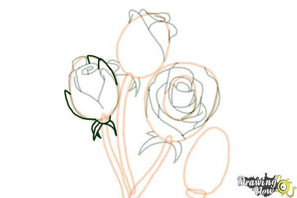How to Draw Roses Step by Step - Step 13 How to Draw Roses Step by Step - Step 13