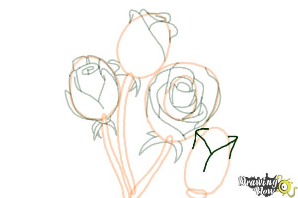 How to Draw Roses Step by Step - Step 14 How to Draw Roses Step by Step - Step 14