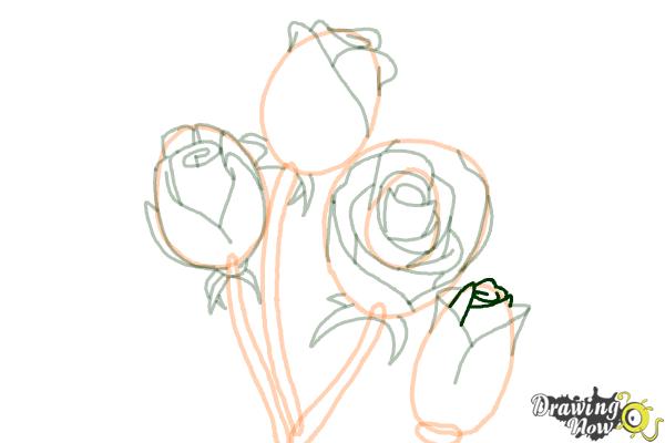 How to Draw Roses Step by Step - Step 15 How to Draw Roses Step by Step - Step 15