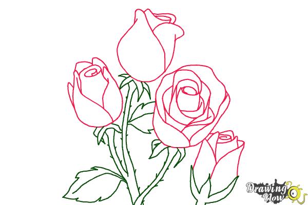 How to Draw Roses Step by Step - Step 18 How to Draw Roses Step by Step - Step 18
