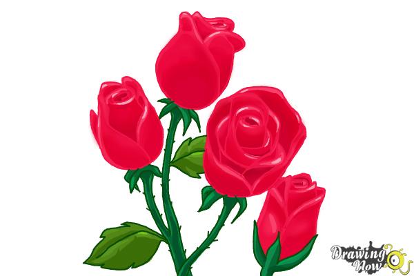 How to Draw Roses Step by Step - Step 19 How to Draw Roses Step by Step - Step 19