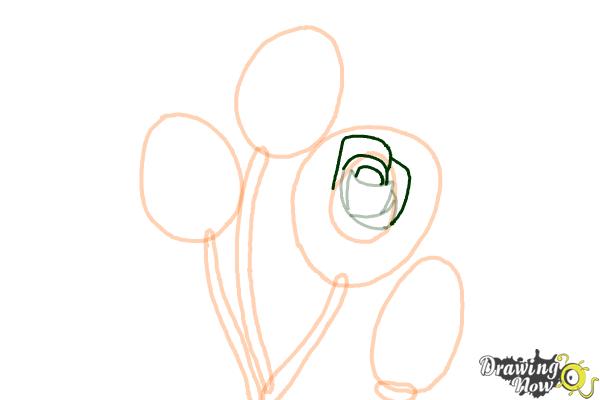 How to Draw Roses Step by Step - Step 6 How to Draw Roses Step by Step - Step 6