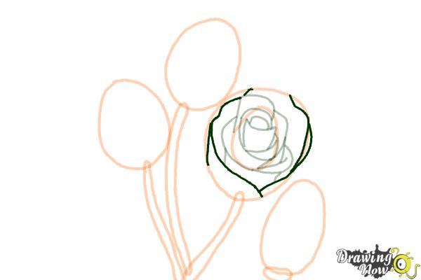 How to Draw Roses Step by Step - Step 8 How to Draw Roses Step by Step - Step 8