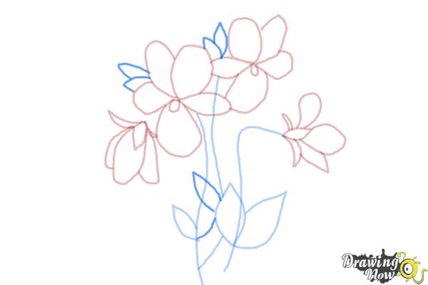 How to Draw Simple Flowers - Step 10 How to Draw Simple Flowers - Step 10