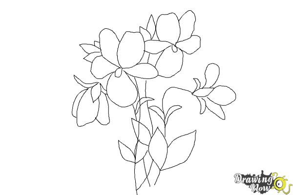 How to Draw Simple Flowers - Step 11 How to Draw Simple Flowers - Step 11