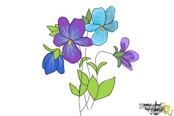 How to Draw Simple Flowers - Step 12 How to Draw Simple Flowers - Step 12