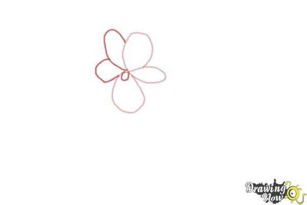 How to Draw Simple Flowers - Step 2 How to Draw Simple Flowers - Step 2