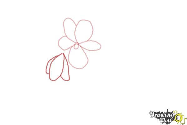 How to Draw Simple Flowers - Step 3 How to Draw Simple Flowers - Step 3