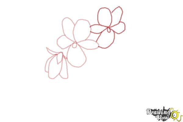 How to Draw Simple Flowers - Step 5 How to Draw Simple Flowers - Step 5