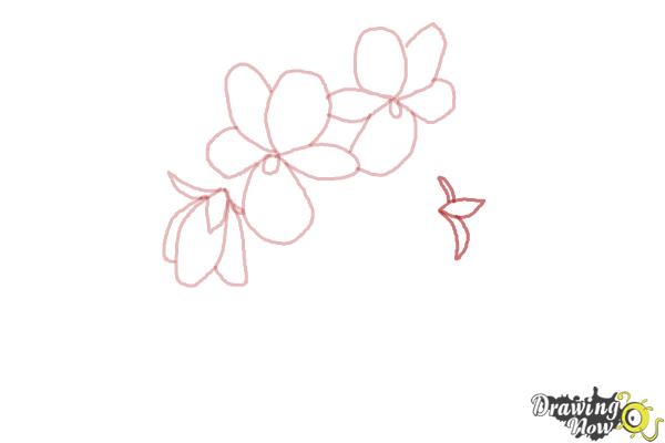 How to Draw Simple Flowers - Step 6 How to Draw Simple Flowers - Step 6