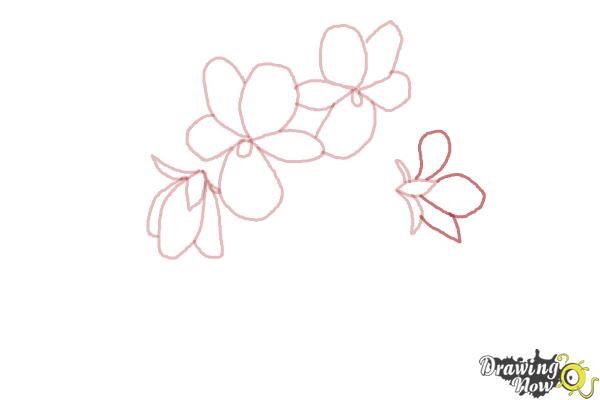 How to Draw Simple Flowers - Step 7 How to Draw Simple Flowers - Step 7