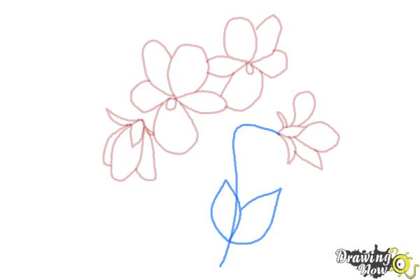 How to Draw Simple Flowers - Step 8 How to Draw Simple Flowers - Step 8