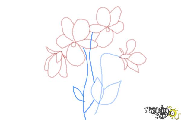 How to Draw Simple Flowers - Step 9 How to Draw Simple Flowers - Step 9