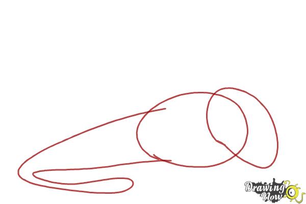 How to Draw Skullcrusher from How to Train Your Dragon 2 - Step 1 How to Draw Skullcrusher from How to Train Your Dragon 2 - Step 1