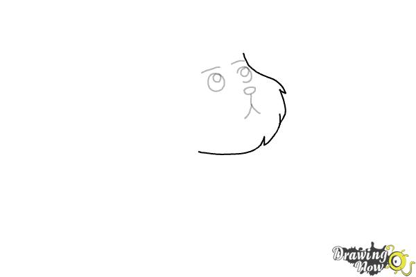 How to Draw Snowball from Rick and Morty - Step 3 How to Draw Snowball from Rick and Morty - Step 3